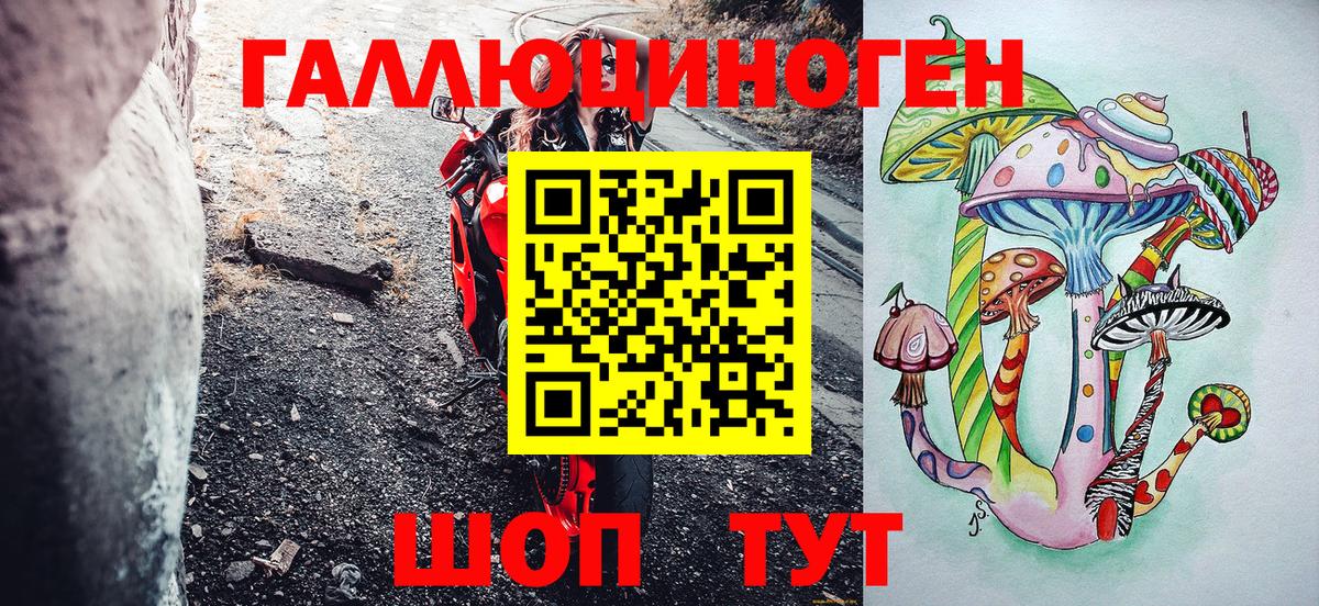 Краснознаменск  Псилоцибиновые грибы Psilocybe  Вход с VPN 